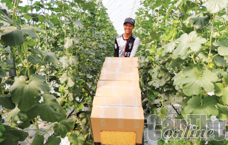 Hợp sức đưa nông nghiệp ĐBSCL vượt thách thức, phát triển bền vững