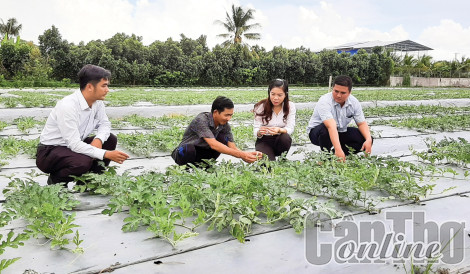 Đoàn kết xây dựng xã nông thôn mới kiểu mẫu