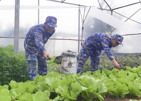 Màu xanh trên nền cát mặn, san hô