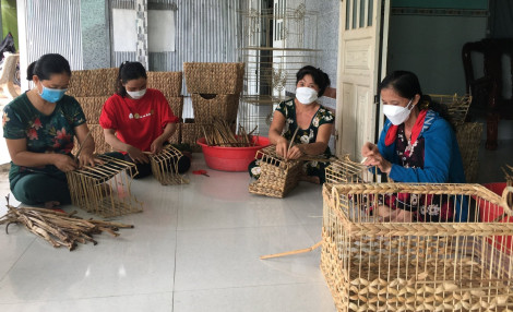 Phối hợp thực hiện hiệu quả Nghị định số 28/2022/NĐ-CP của Chính phủ