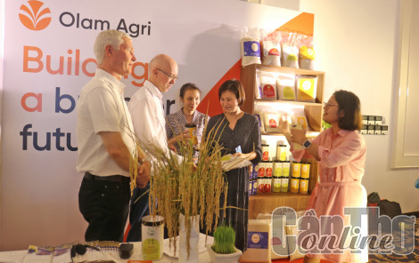 Dự án MSVC góp phần nâng cao giá trị hạt gạo Việt Nam và cải thiện thu nhập cho nhiều nông hộ