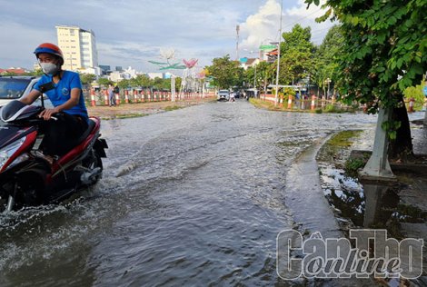 Triều cường lên cao xấp xỉ báo động III vào những ngày đầu tháng 9 âm lịch