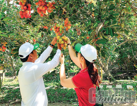 PHONG ÐIỀN phát triển trọng điểm du lịch sinh thái