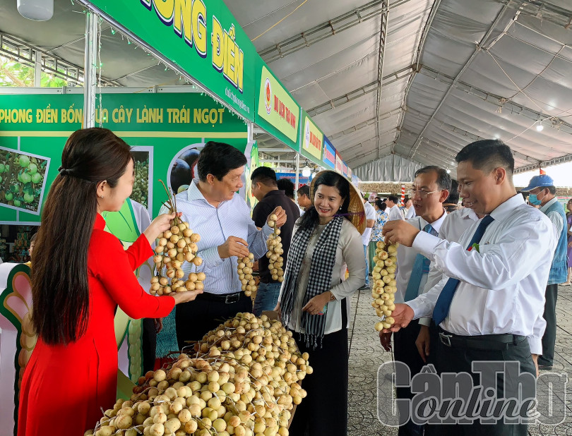 Khai mạc Ngày hội Du lịch sinh thái Phong Điền - Cần Thơ năm 2022