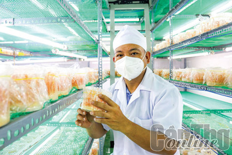 Hợp tác xã gia tăng hiệu quả kinh doanh nhờ ứng dụng số