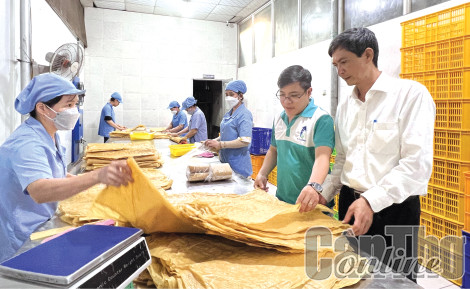 Tạo điều kiện thuận lợi để doanh nghiệp phát triển sản phẩm OCOP