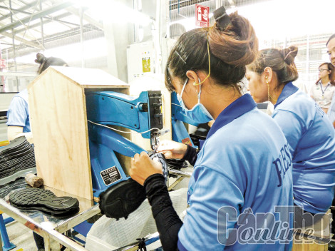 Cái Răng tập trung mọi nguồn lực, tận dụng lợi thế phát triển kinh tế