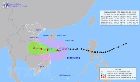 Các bệnh viện sẵn sàng nhân lực, thuốc, trang thiết bị chủ động ứng phó với thiên tai