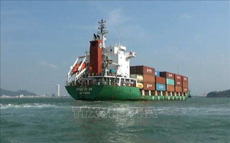 Đến năm 2030, đội tàu biển Việt Nam sẽ đảm nhận 20% thị phần hàng xuất nhập khẩu