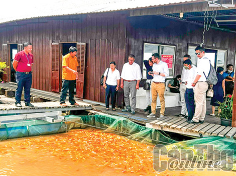 Liên kết đa bên để phát triển bền vững ÐBSCL