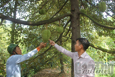 Huy động, phân bổ hơn 2.260 tỉ đồng xây dựng xã nông thôn mới nâng cao và kiểu mẫu