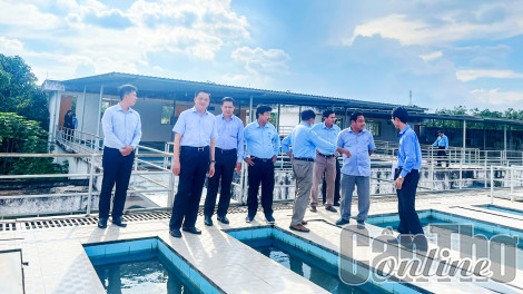 Phấn đấu thực hiện đạt các chỉ tiêu sản xuất kinh doanh năm 2022