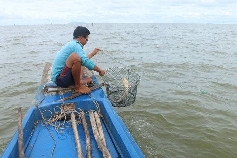 Câu kiều trên biển Tây Nam