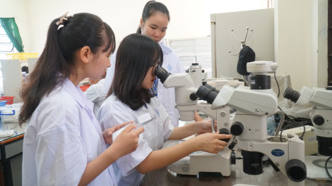 Thành lập các trường chuyên ngành góp phần nâng cao chất lượng đào tạo, nghiên cứu phục vụ ĐBSCL