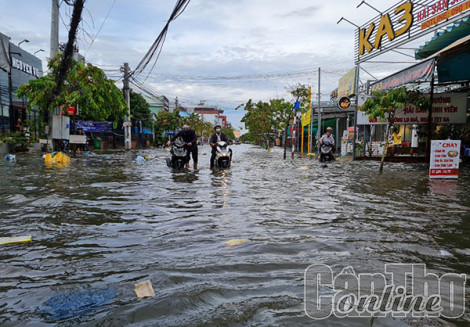 TP Cần Thơ: Trong 2 ngày tới (11 và 12-10) mực nước sẽ đạt đỉnh 2,25m