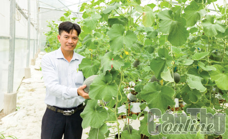Quảng bá, thúc đẩy tiêu thụ nông sản thông qua thương mại điện tử