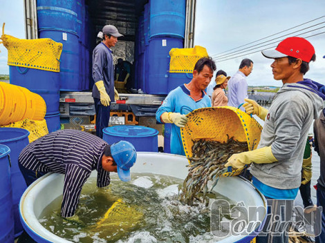 Gỡ khó để thủy sản phát triển