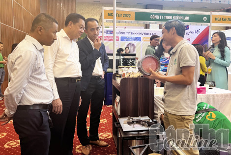 Phát huy vai trò của khu vực kinh tế tư nhân trong thích ứng biến đổi khí hậu
