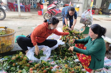 Chôm chôm Thái đạt mức giá cao kỷ lục