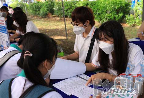 Thị trường việc làm cuối năm dự báo nhiều sôi động