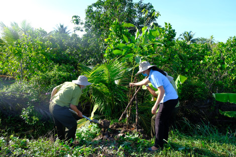 Quản lý hiệu quả tài nguyên, bảo vệ môi trường
