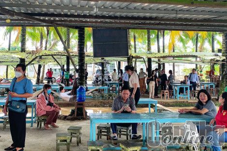 Về cù lao xanh Tân Lộc