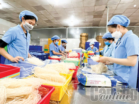 Doanh nghiệp Cần Thơ kỳ vọng bức tranh kinh tế sáng hơn