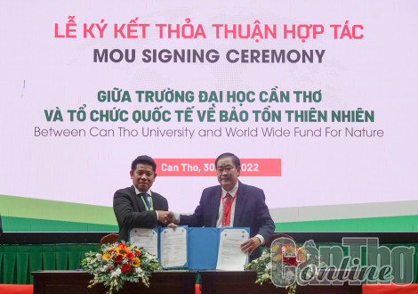 Khoa học và công nghệ tạo động lực cho đổi mới và phát triển bền vững ĐBSCL
