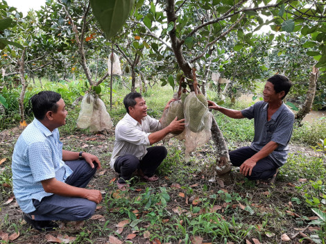 Nói đi đôi với làm