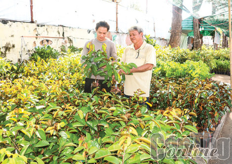 Quảng bá thương hiệu sản phẩm, tìm kiếm khách hàng mới tiềm năng...