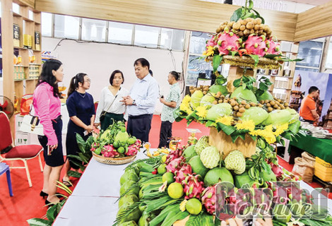 Doanh nghiệp các nước Bắc Âu tìm hiểu cơ hội hợp tác, phát triển giao thương với doanh nghiệp Cần Thơ