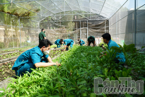 Các Ban Chỉ huy Quân sự quận tăng gia sản xuất hơn 2,2 tỉ đồng