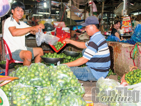 Giá chanh khởi sắc