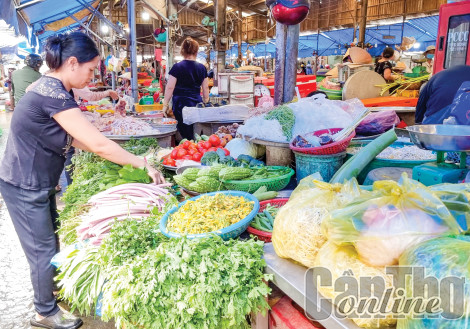Bông bí đỏ bán được giá cao