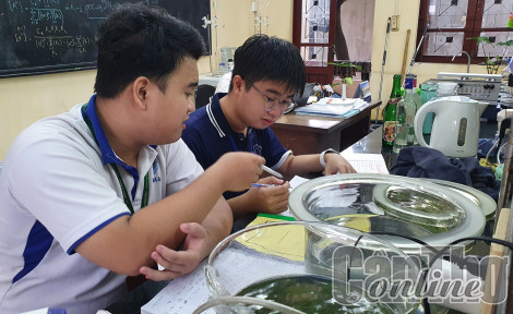 Thúc đẩy hoạt động nghiên cứu khoa học, góp phần nâng cao chất lượng đào tạo