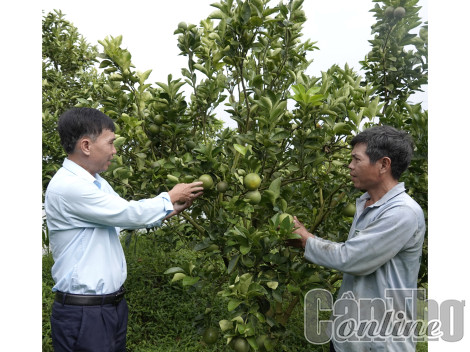 Nhiều việc làm theo gương Bác thiết thực