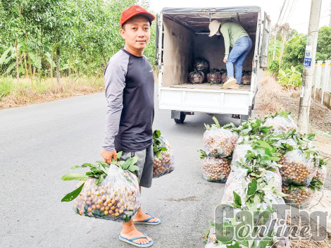 Nhiều dư địa trong phát triển giao thương giữa TP Cần Thơ và thủ đô Hà Nội