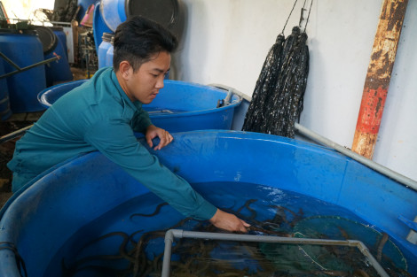 Thi đua hoàn thành nhiệm vụ chính trị