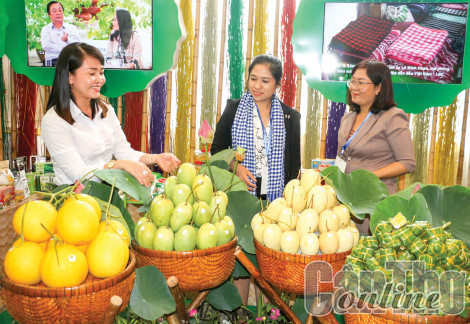 Chủ động nâng chất lượng liên kết, tích hợp để phát triển bền vững