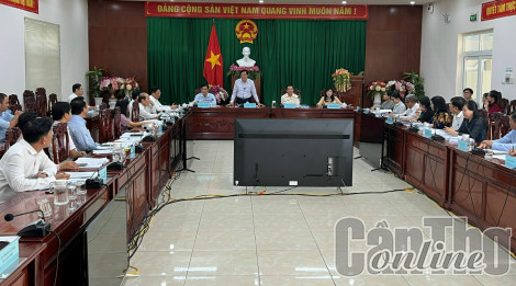 Thẩm tra các tờ trình trình tại kỳ họp HĐND thành phố