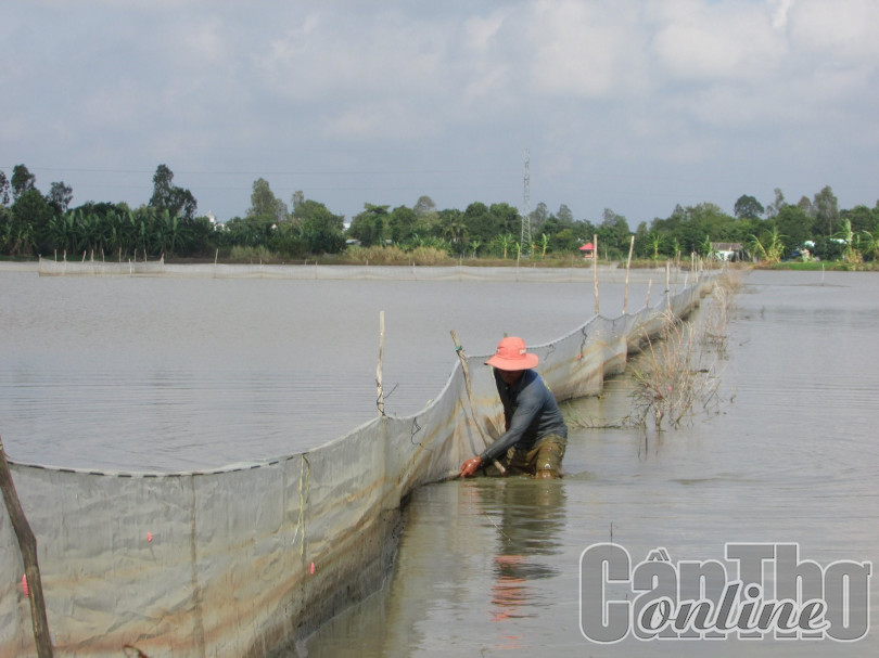 Bảo vệ nguồn tài nguyên nước ở TP Cần Thơ