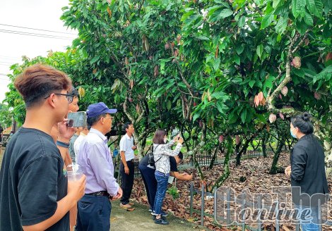 Cần Thơ và Đồng Nai trao đổi kinh nghiệm phát triển du lịch nông nghiệp