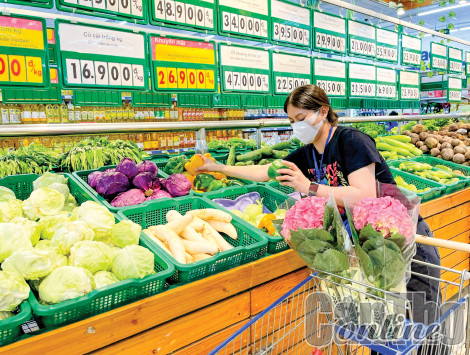 Phát huy lợi thế, tiềm năng thúc đẩy phát triển quận Thốt Nốt