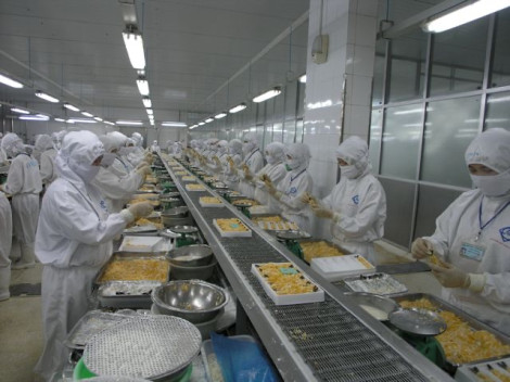 Tìm đối sách cho ngành tôm trong giai đoạn khó