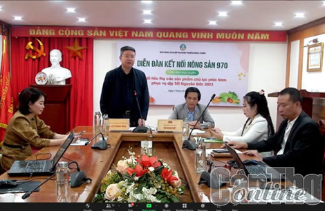 Kết nối tiêu thụ các sản phẩm chủ lực phía Nam trong dịp Tết Nguyên đán 2023