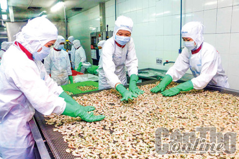 Ngành Thủy sản tìm hướng vượt khó