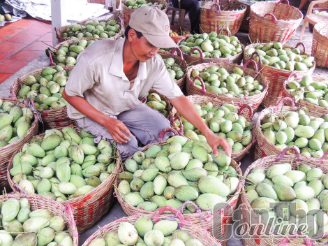 Điểm nhấn “Cần Thơ chung sức xây dựng nông thôn mới”