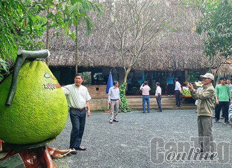 Về làng bưởi Tân Triều