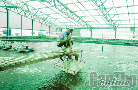 Ứng dụng công nghệ hiện đại phát triển bền vững ngành thủy sản