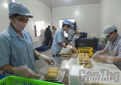 Hỗ trợ doanh nghiệp chuyển đổi để thúc đẩy xuất khẩu